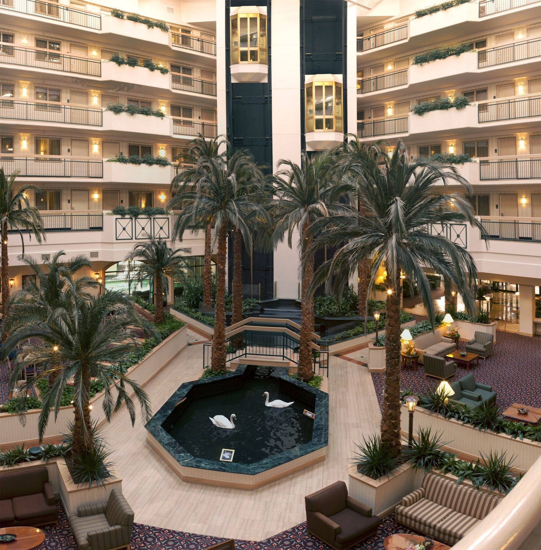 Embassy Suites By Hilton Houston Near The Galleria Luaran gambar